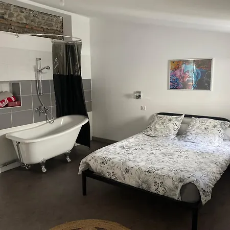 Mila Regiment De Bigorre Appartement *